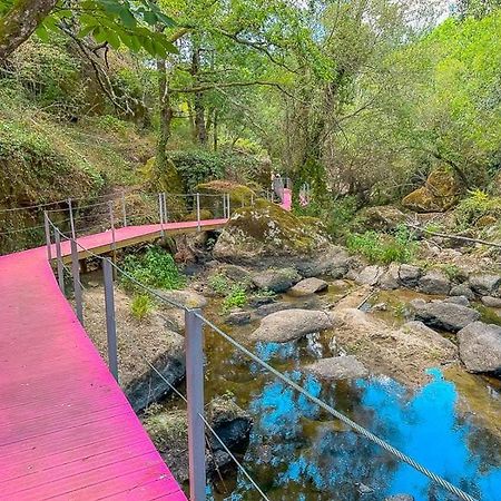 Casa Trilho The Gaios Bed & Breakfast Tábua Dış mekan fotoğraf