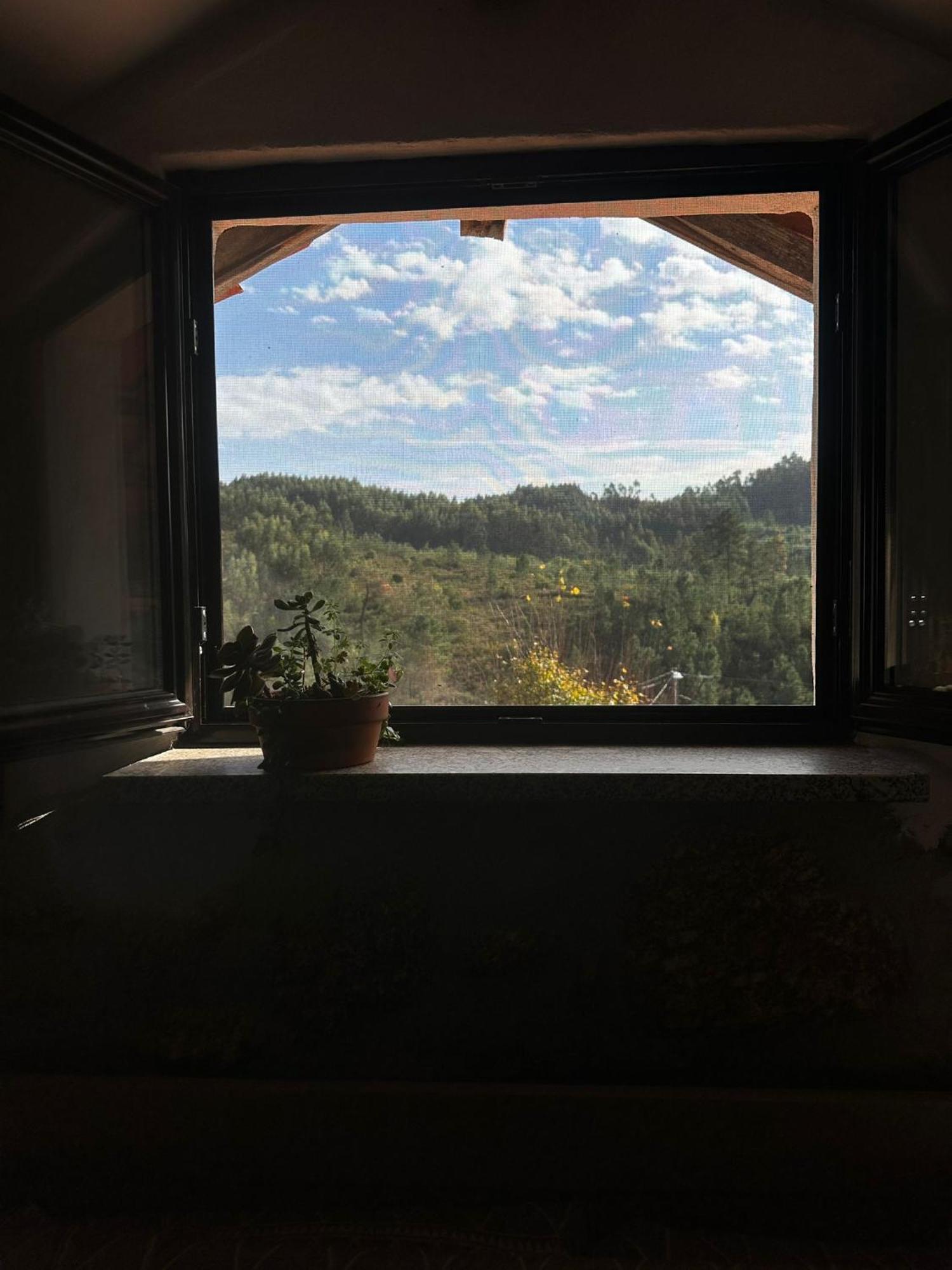 Casa Trilho The Gaios Bed & Breakfast Tábua Dış mekan fotoğraf