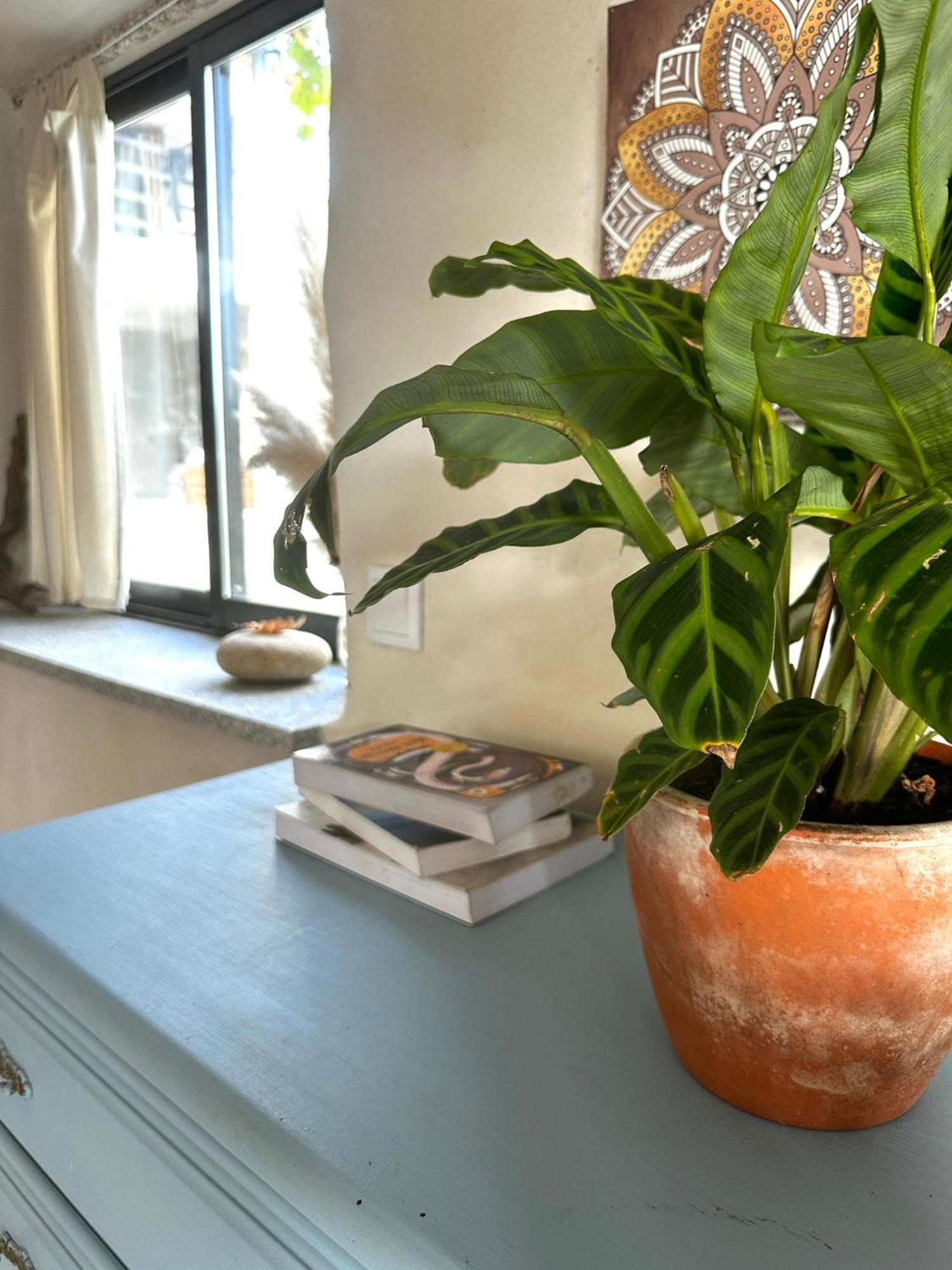 Casa Trilho The Gaios Bed & Breakfast Tábua Dış mekan fotoğraf