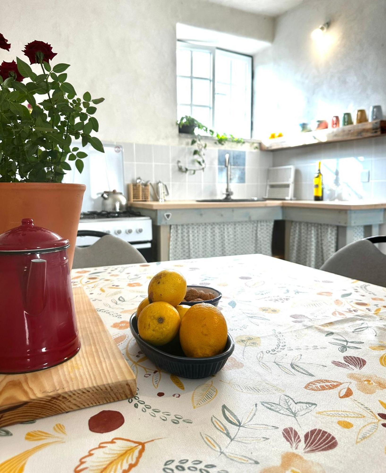 Casa Trilho The Gaios Bed & Breakfast Tábua Dış mekan fotoğraf