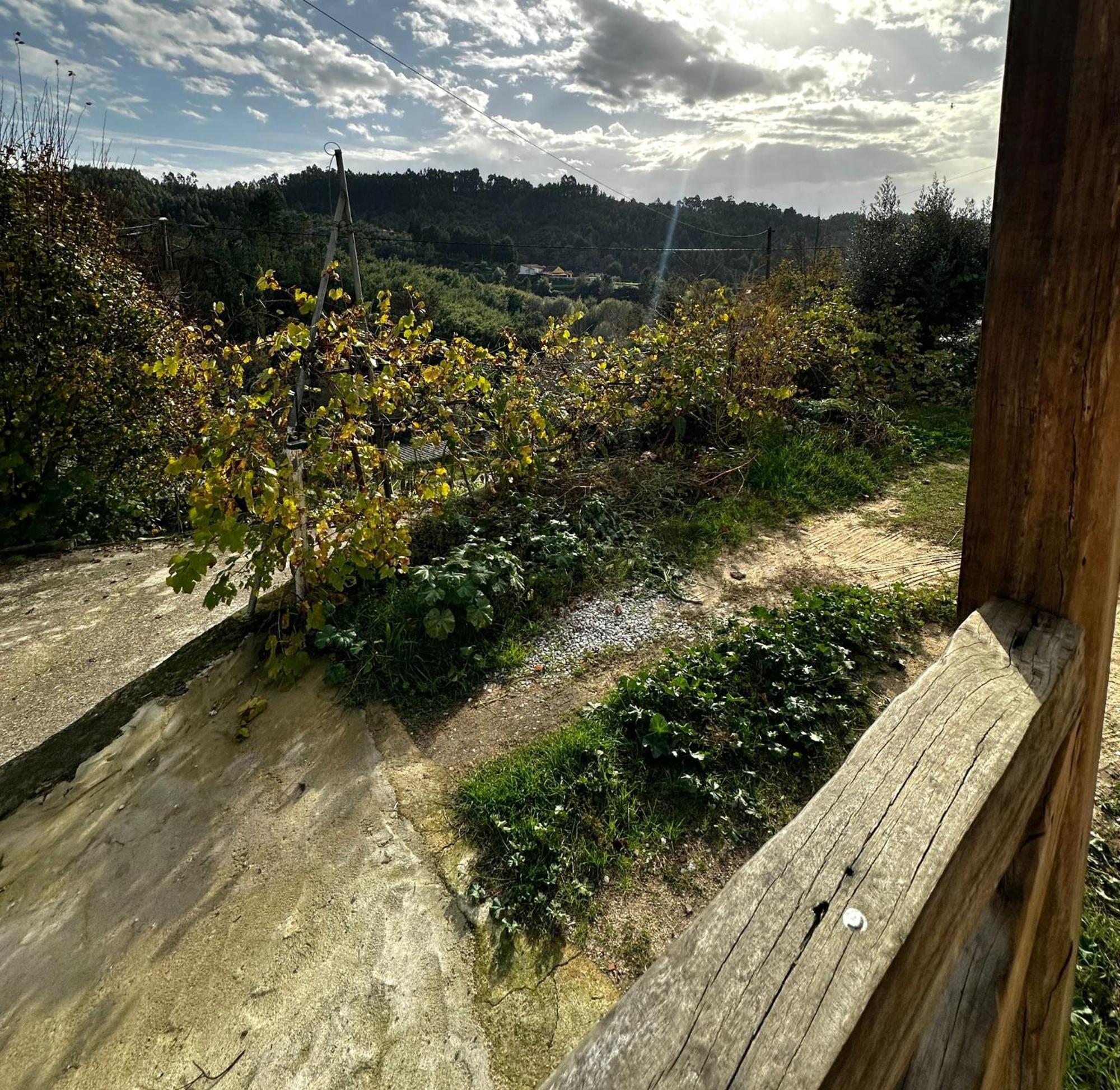 Casa Trilho The Gaios Bed & Breakfast Tábua Dış mekan fotoğraf
