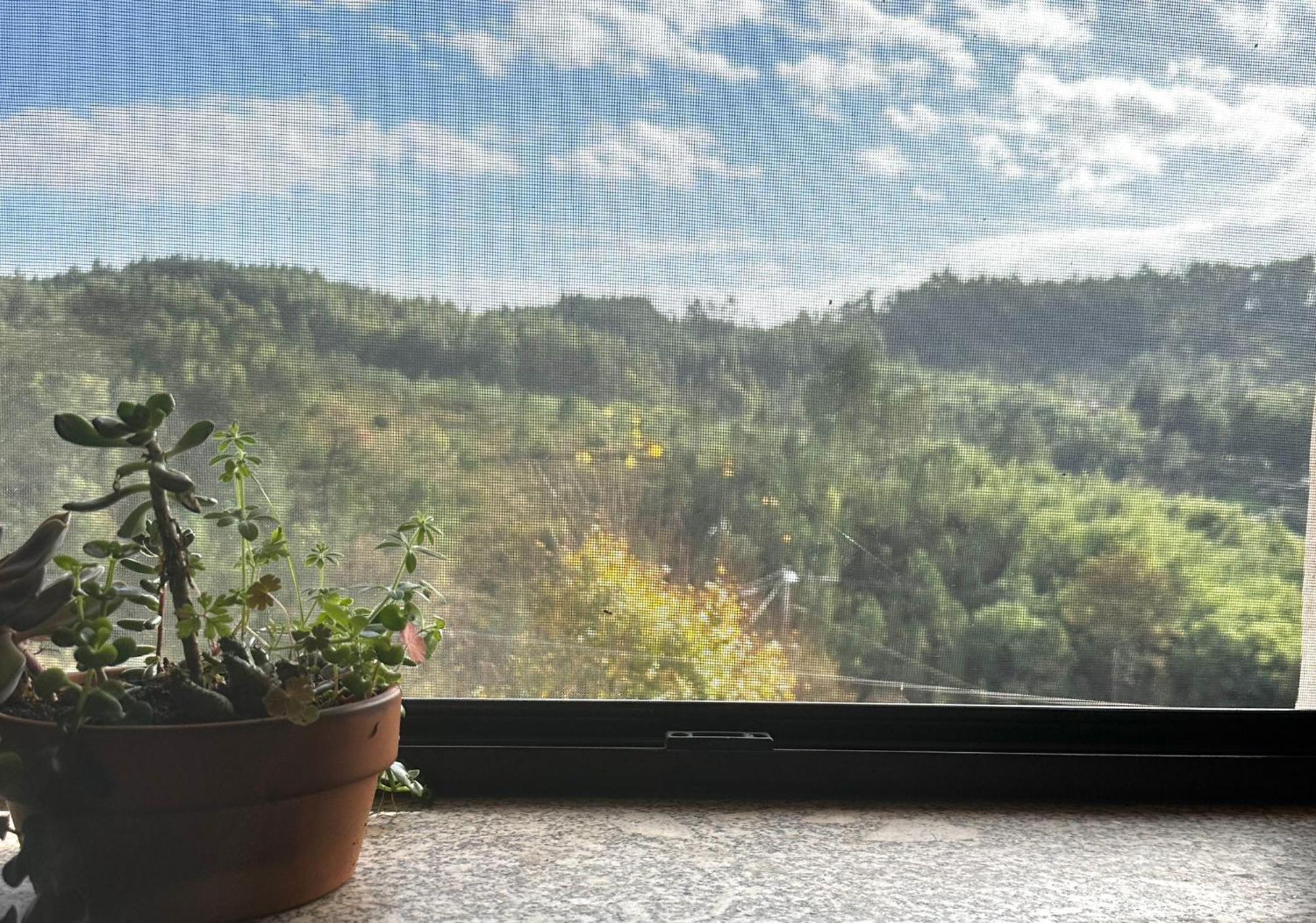 Casa Trilho The Gaios Bed & Breakfast Tábua Dış mekan fotoğraf