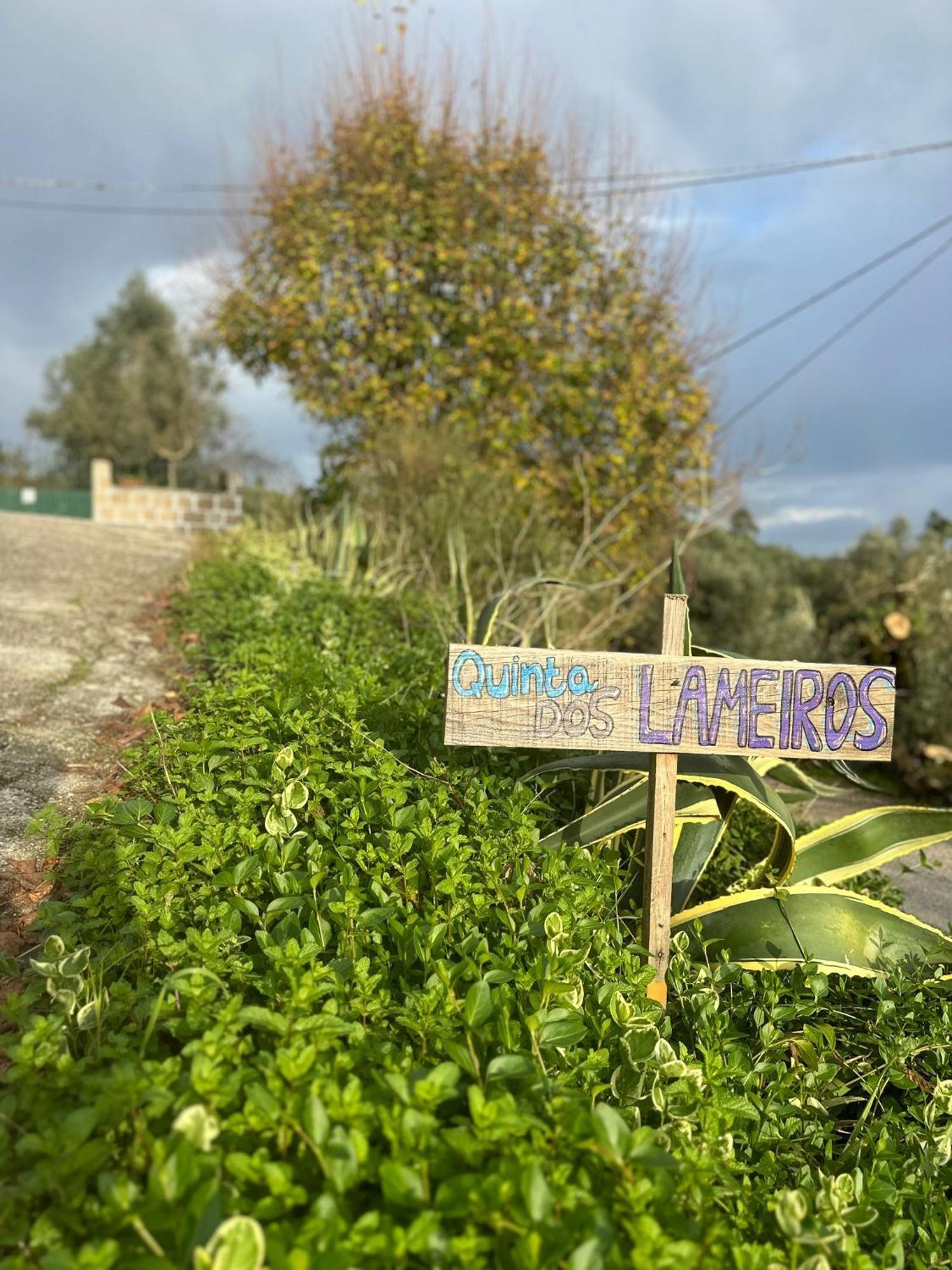 Casa Trilho The Gaios Bed & Breakfast Tábua Dış mekan fotoğraf