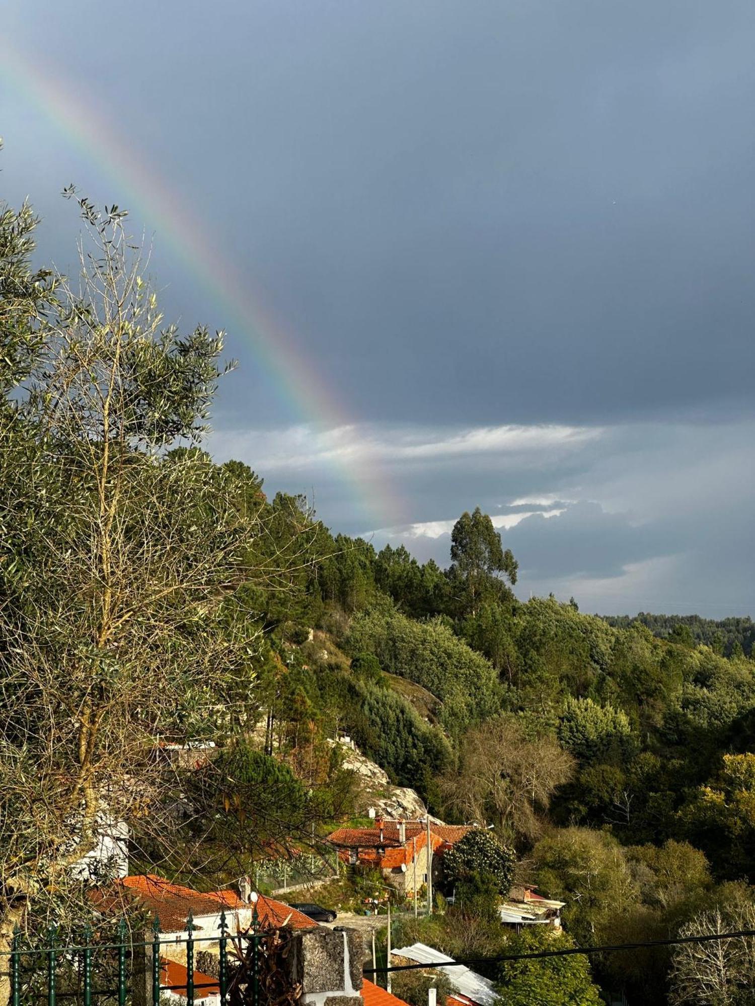 Casa Trilho The Gaios Bed & Breakfast Tábua Dış mekan fotoğraf