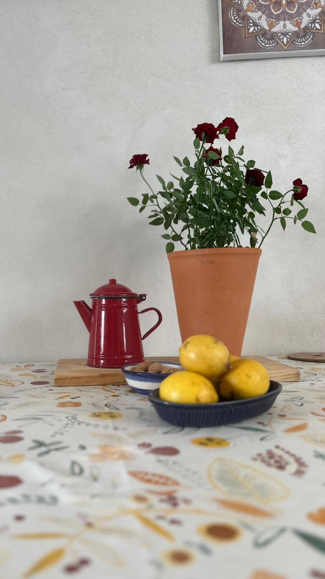 Casa Trilho The Gaios Bed & Breakfast Tábua Dış mekan fotoğraf