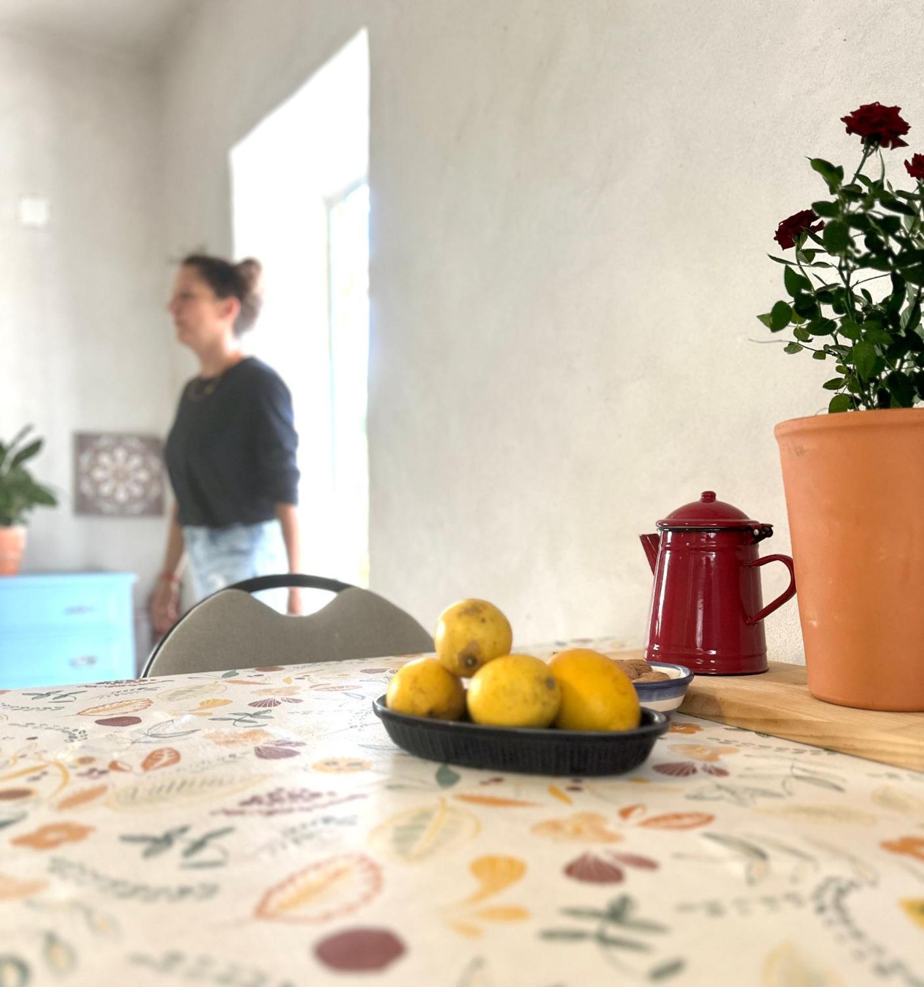 Casa Trilho The Gaios Bed & Breakfast Tábua Dış mekan fotoğraf