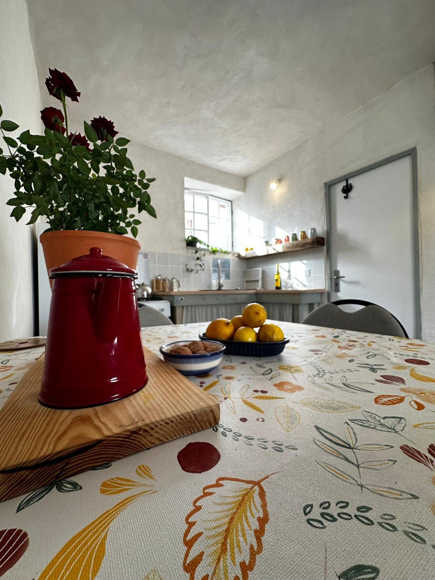 Casa Trilho The Gaios Bed & Breakfast Tábua Dış mekan fotoğraf